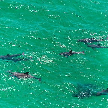 Apartament Calypso 1-2208 East Panama City Beach Zewnętrze zdjęcie